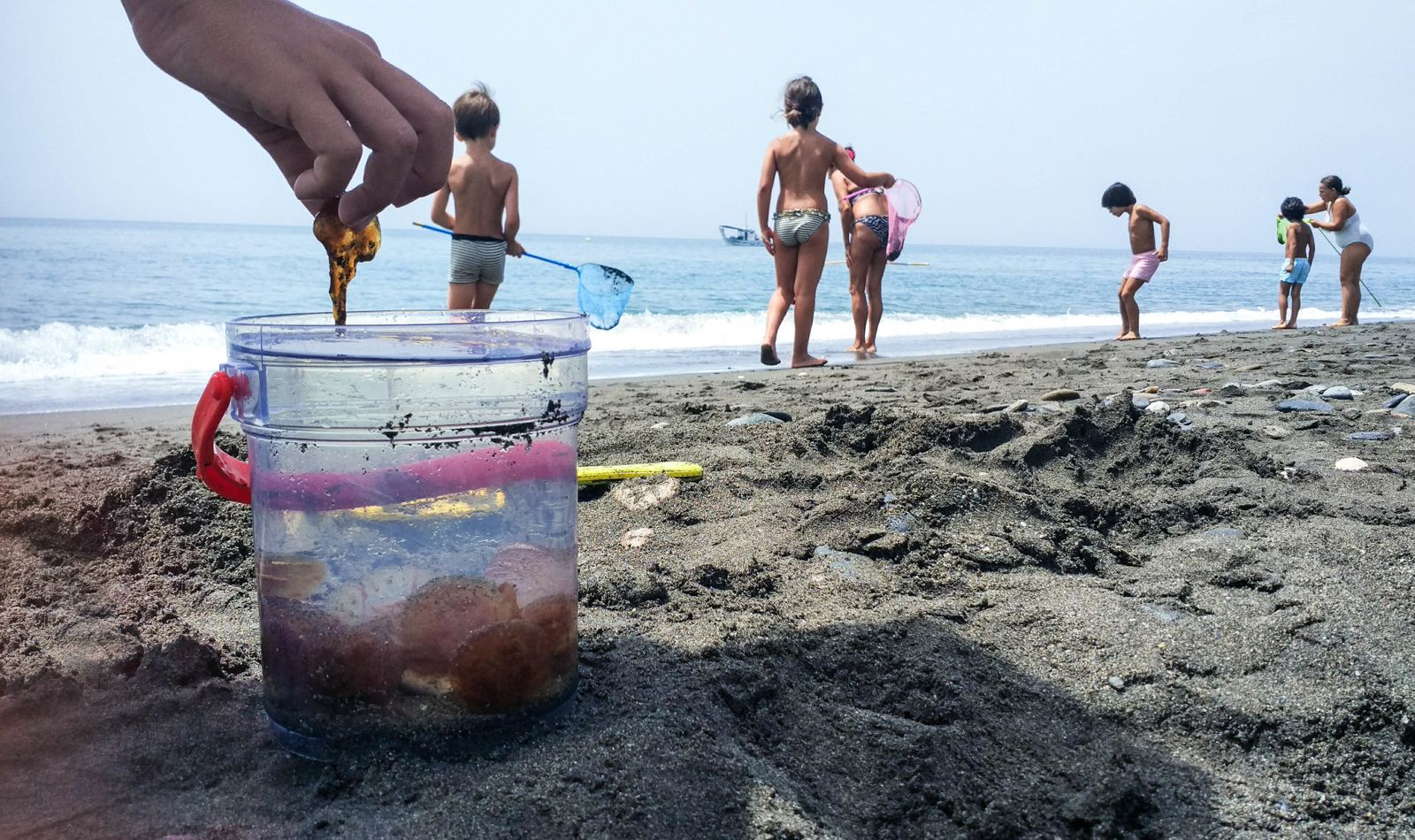 'Travesía' de medusas