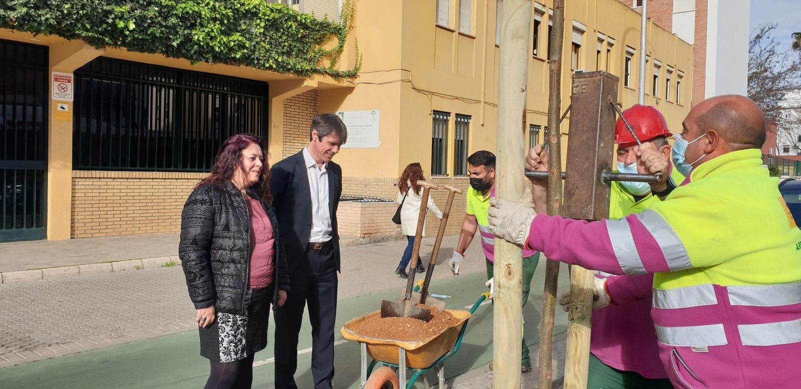 El Ayuntamiento planta 19 jacarandáes en López de Gomara