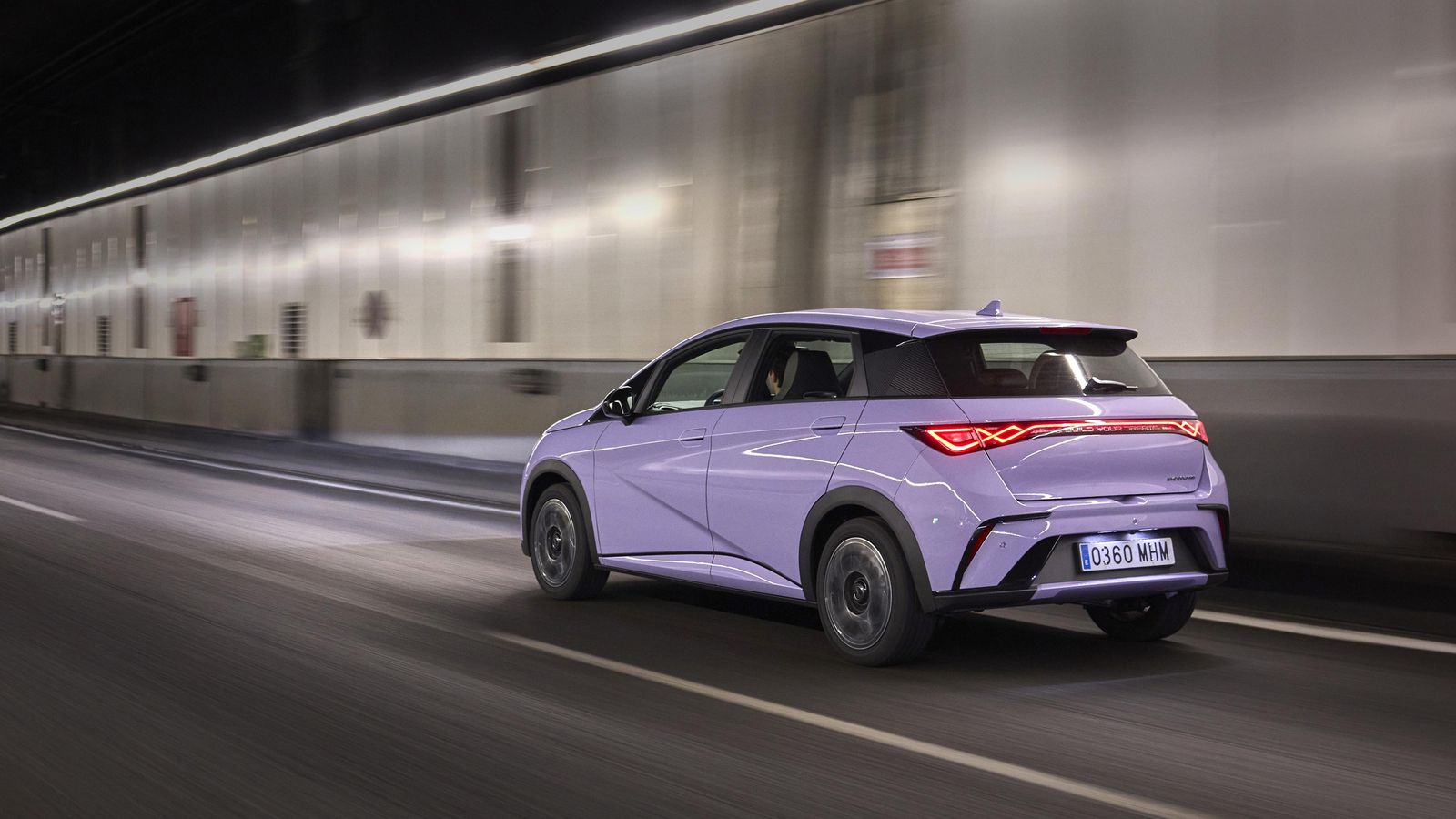 Para el Dolphin habrá tres niveles de potencia de motores y dos de capacidad de batería. Por el momento, se ponen a la venta las dos versiones con mayor potencia y capacidad.