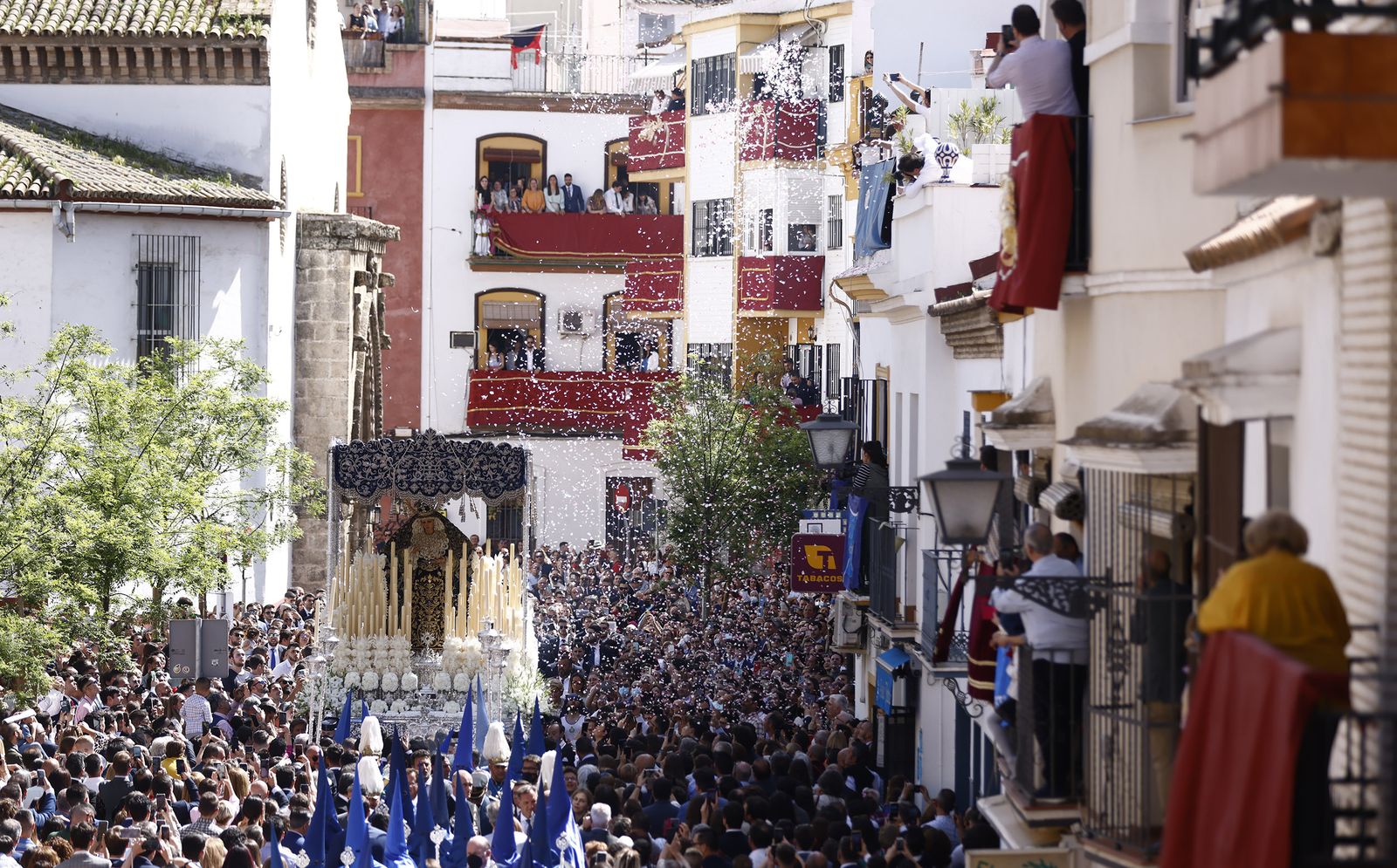 Fotos de La Hiniesta el Domingo de Ramos en la Semana Santa de Sevilla