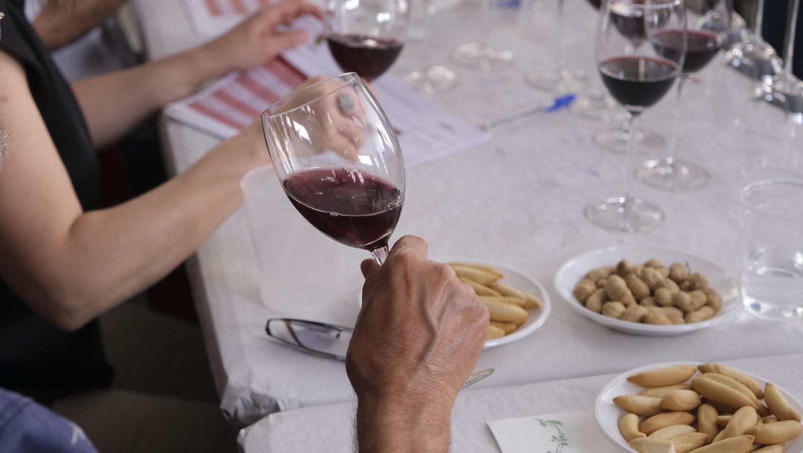 Imágenes del concurso de cata de vinos de las Fiestas de Abrucena 2022