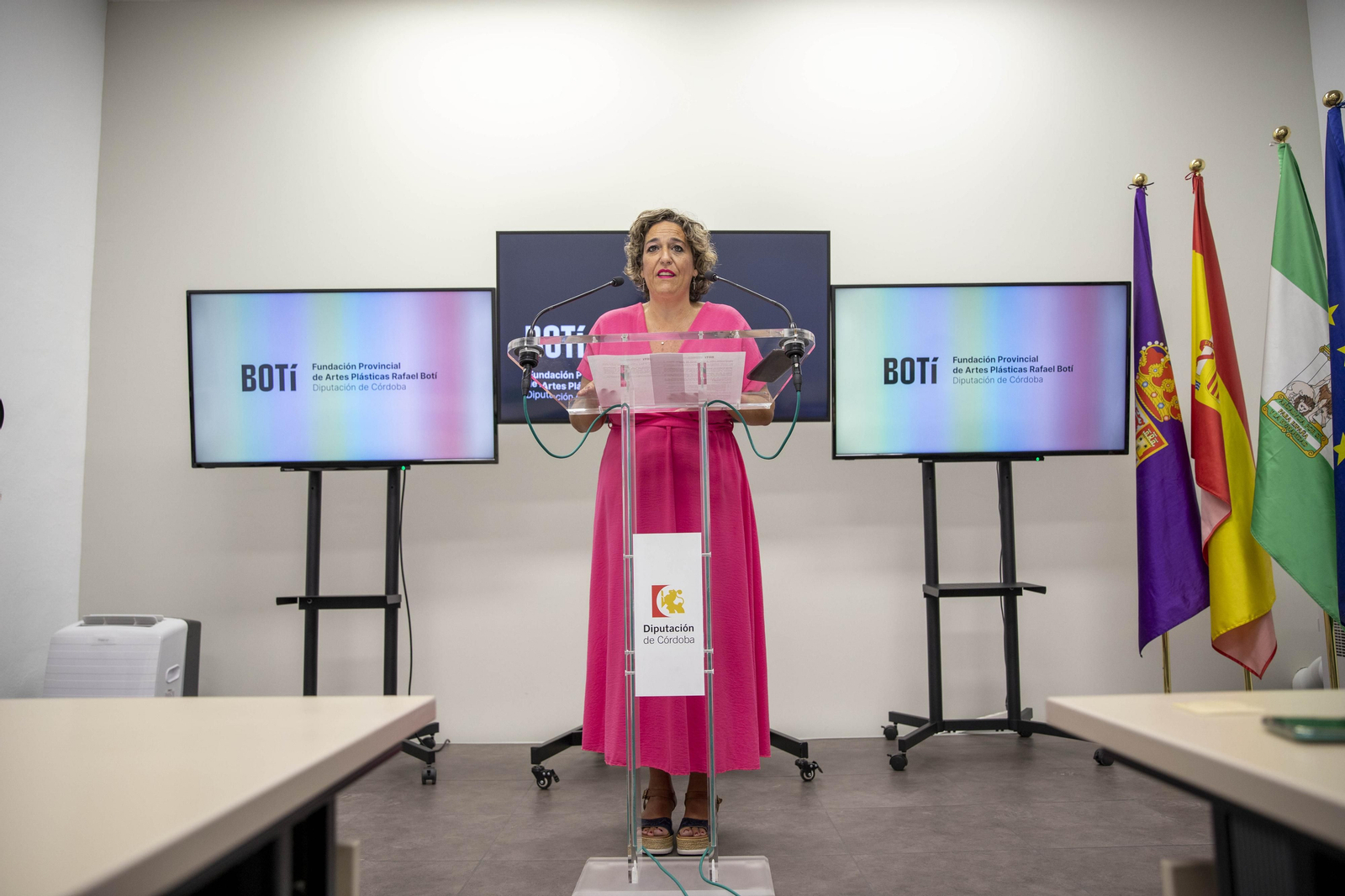 La presidenta de la Fundación Botí, Salud Navajas, presenta las convocatorias. La presidenta de la Fundación Botí, Salud Navajas, presenta las convocatorias.