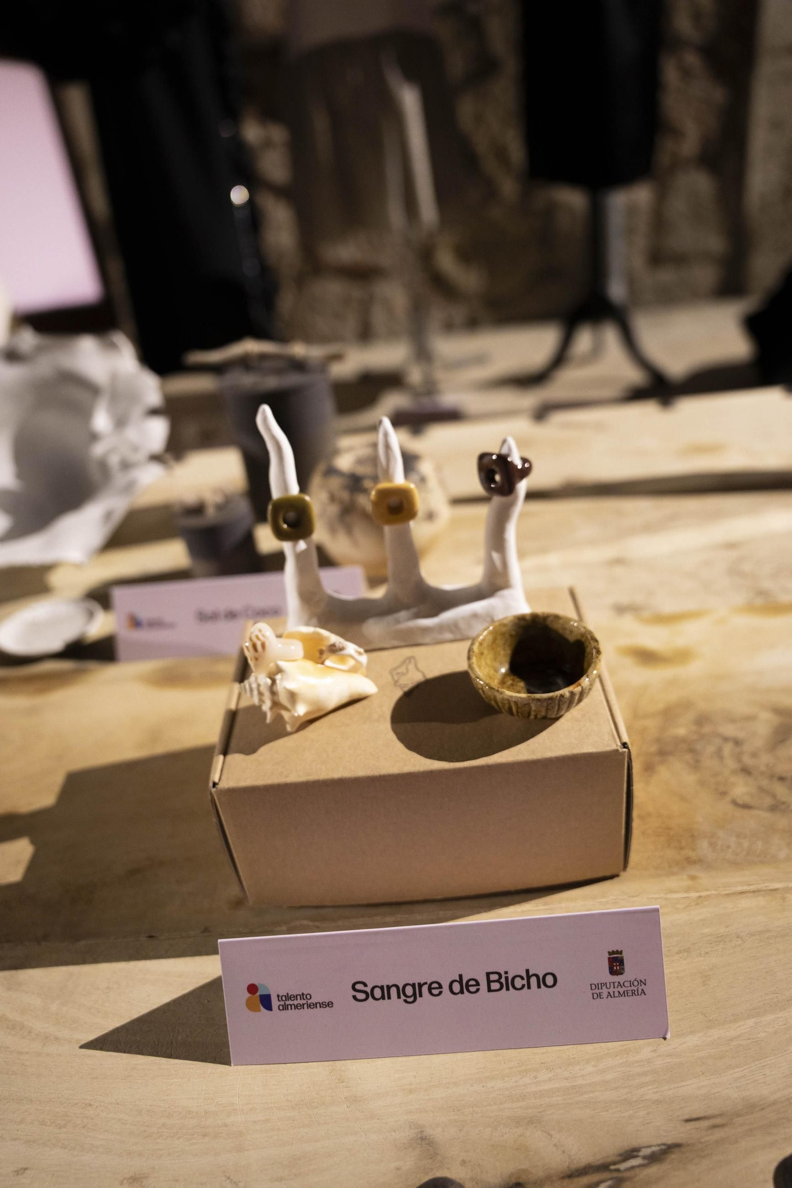 Las imágenes de la presentación de Talento Almeriense