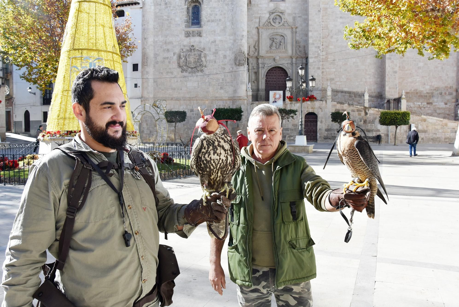 Imagen de los halcones adiestrados que sobrevuelan Baza estos días