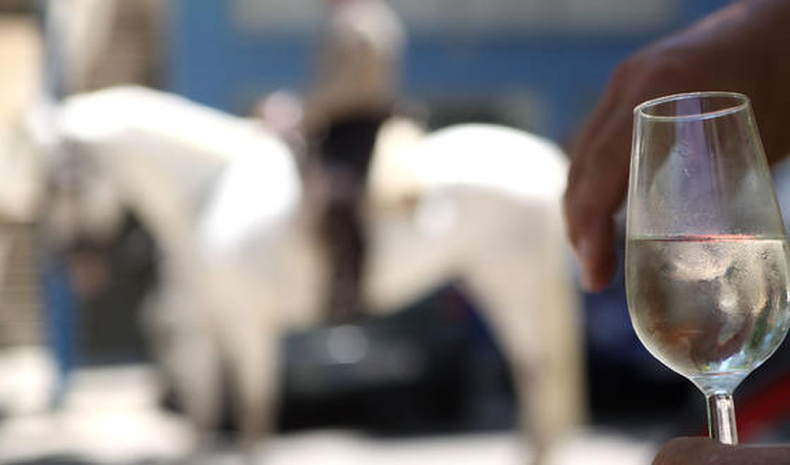 Los algecireños viven intensamente la jornada del sábado en la Feria. 

Foto: Vanessa Perez