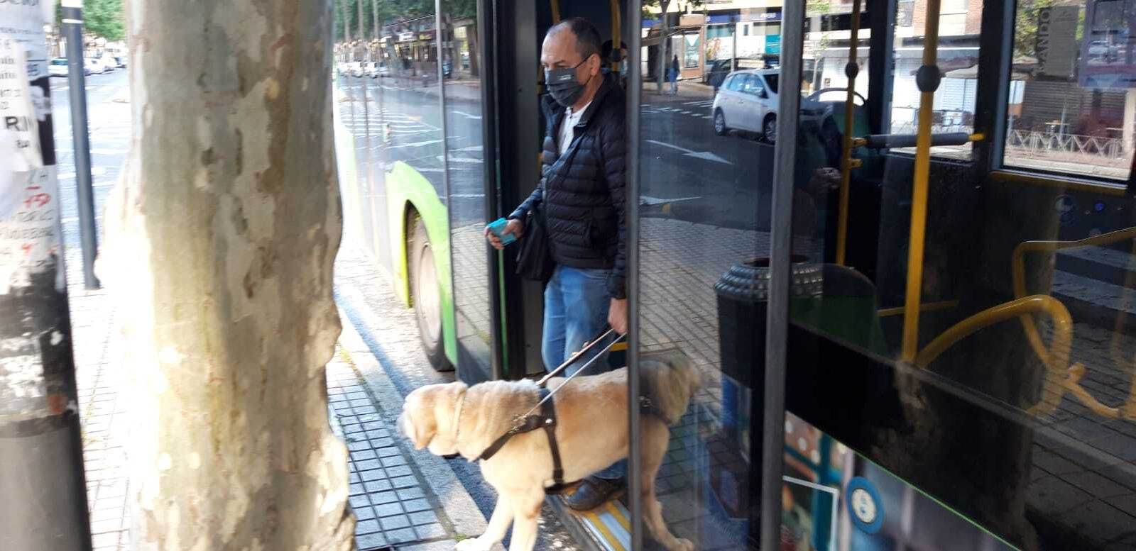 Un perro guía ayuda a bajar del autobús a un hombre.