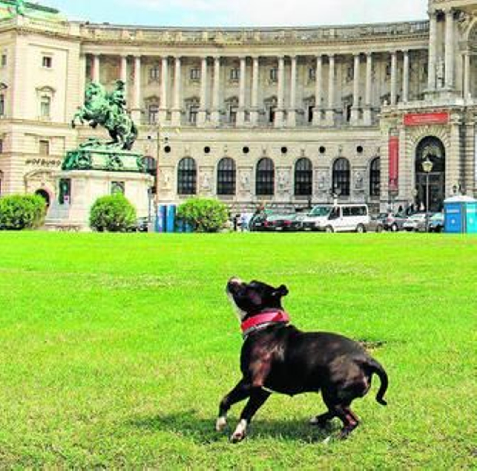 'Luna' juega frente al Palacio Imperial de Hofburg, en Viena.