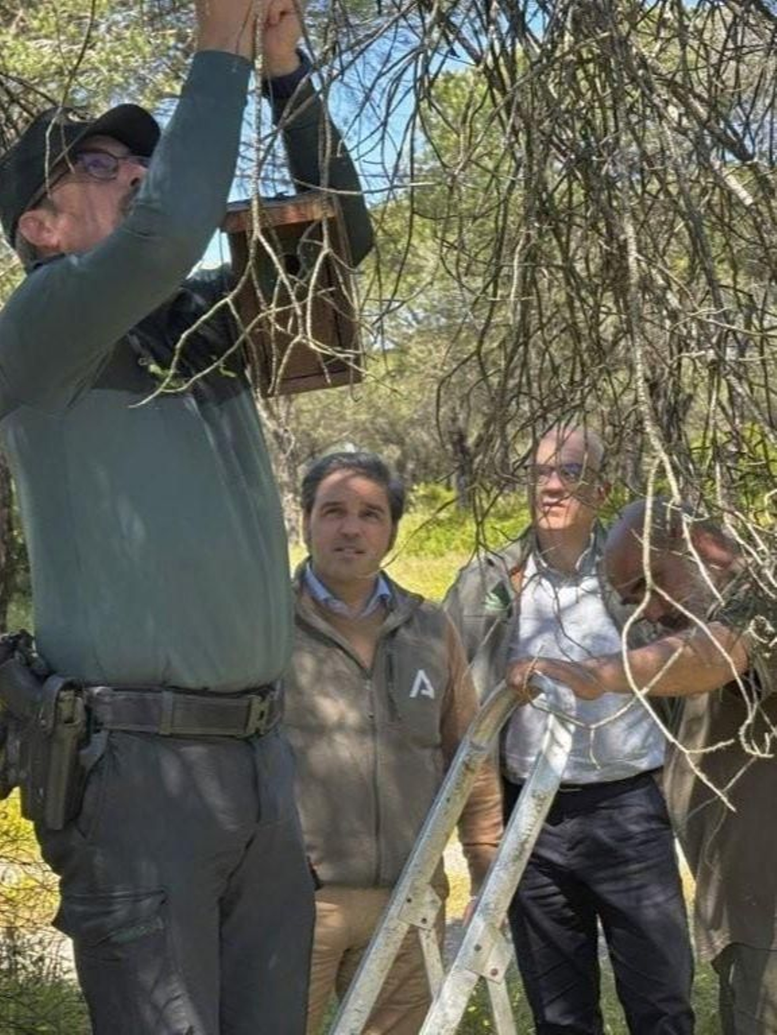 Colocación de cajas nido en el Espacio Protegido de Marismas del Odiel.