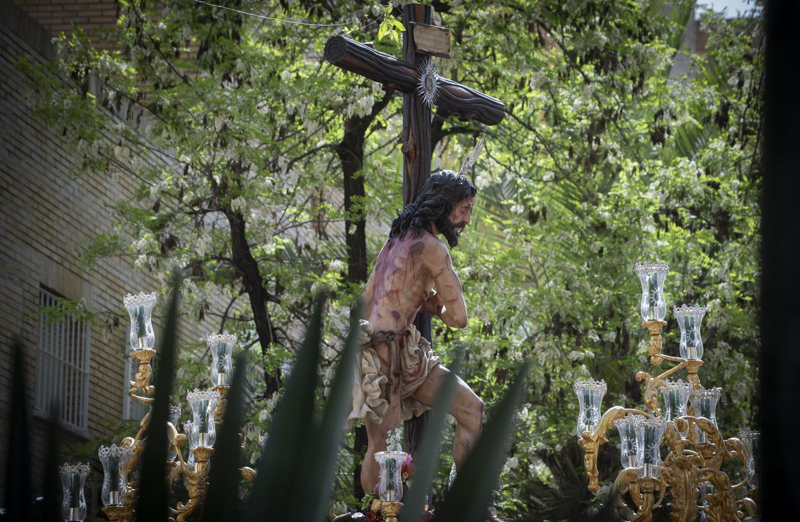 La Hermandad del Sol, en imágenes