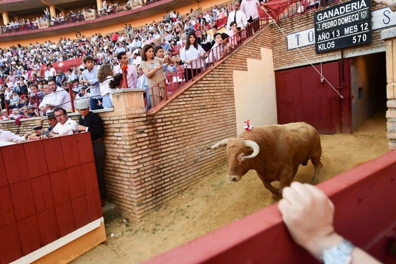 Tarde de sábado en Los Califas