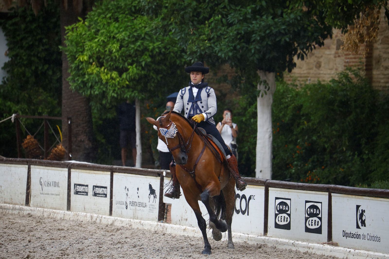 La celebración de la VI Copa de España de Alta Escuela en Córdoba, en imágenes