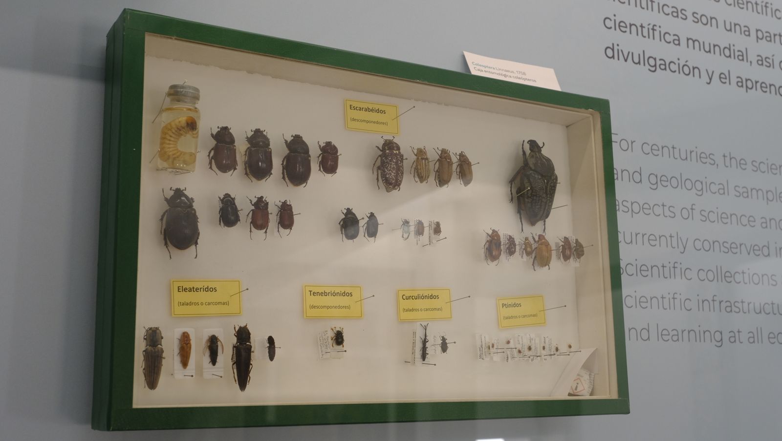 Las mejores imágenes del Pabellón de Historia Natural de la UAL