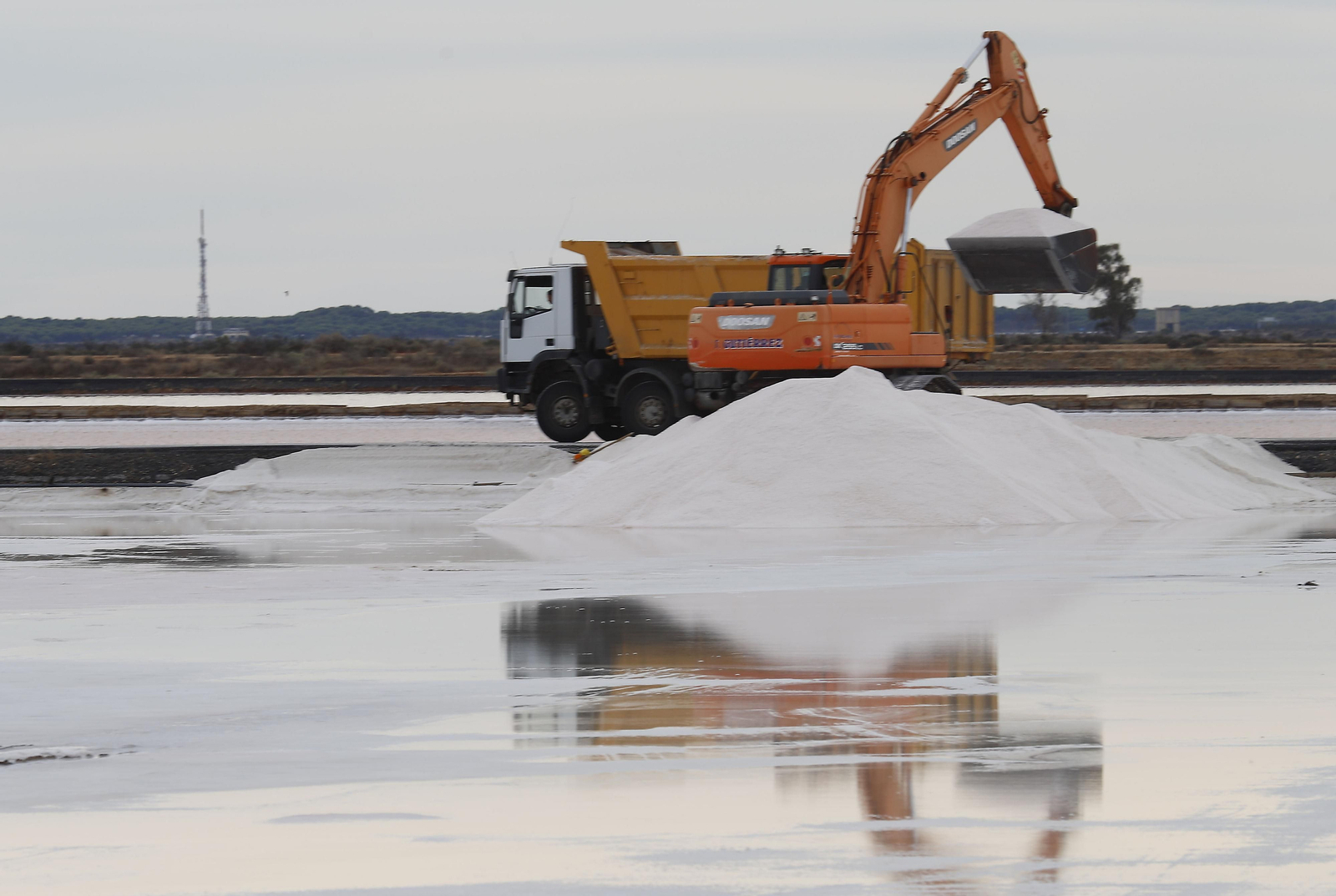 Paraje natural Marismas del Odiel, paraíso de Huelva entre salinas
