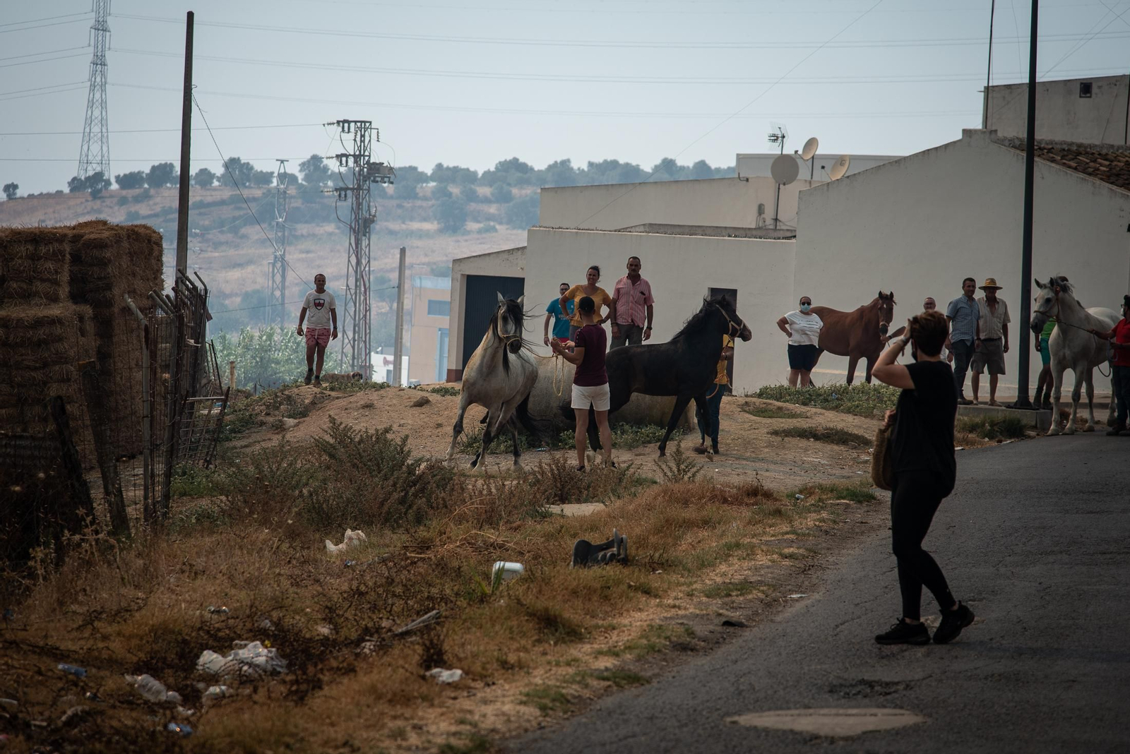 El incendio de Lucena del Puerto en imágenes