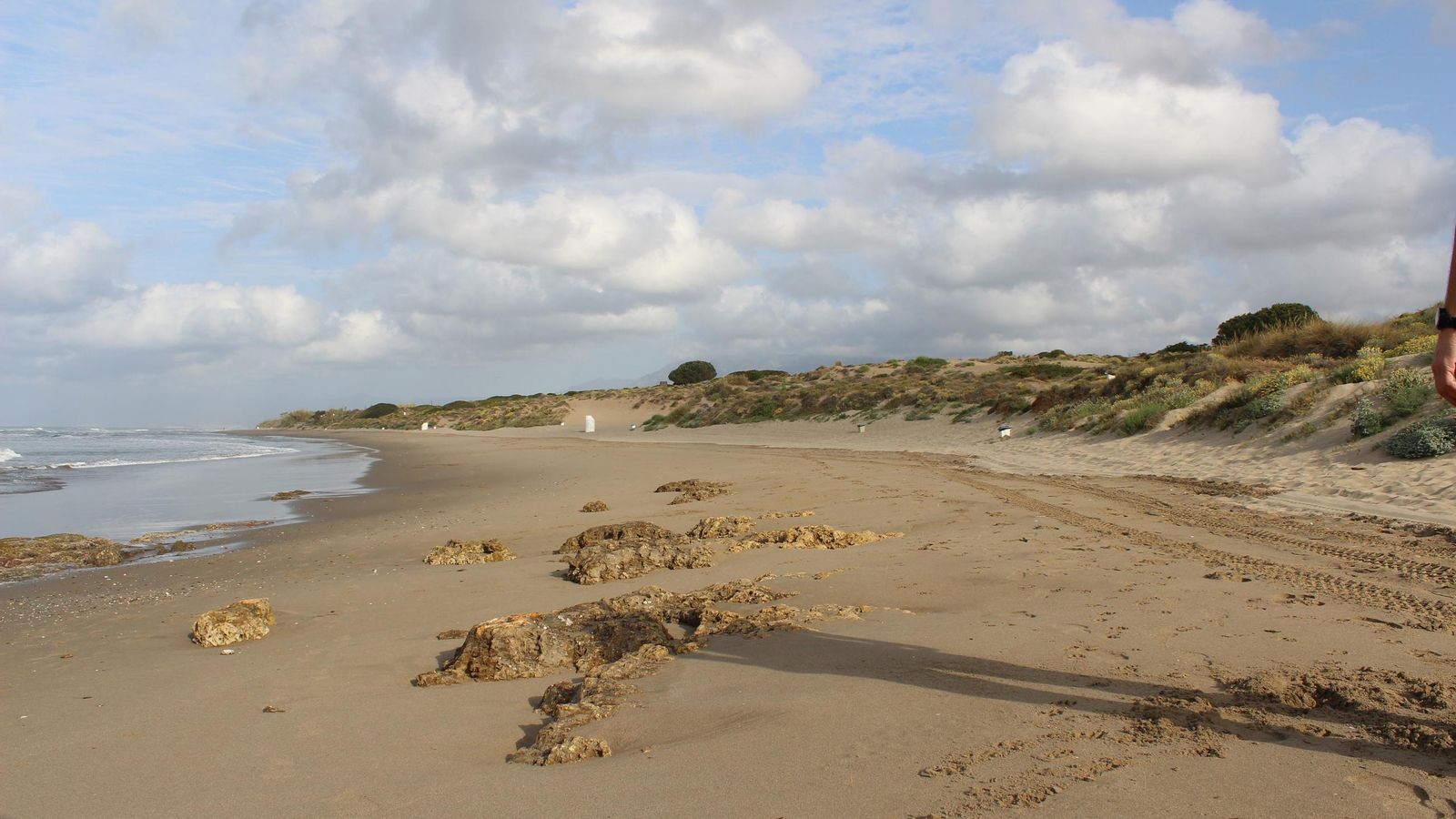 La línea de costa bajo las Dunas de Artola. La línea de costa bajo las Dunas de Artola.