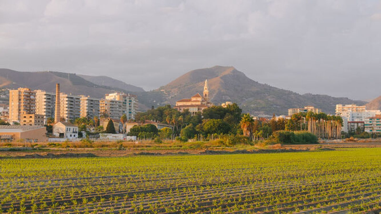 La revisión del PGOU, un plan de peatonalización y modernización del centro o la apuesta por el comercio, entre las propuestas del PSOE de Motril