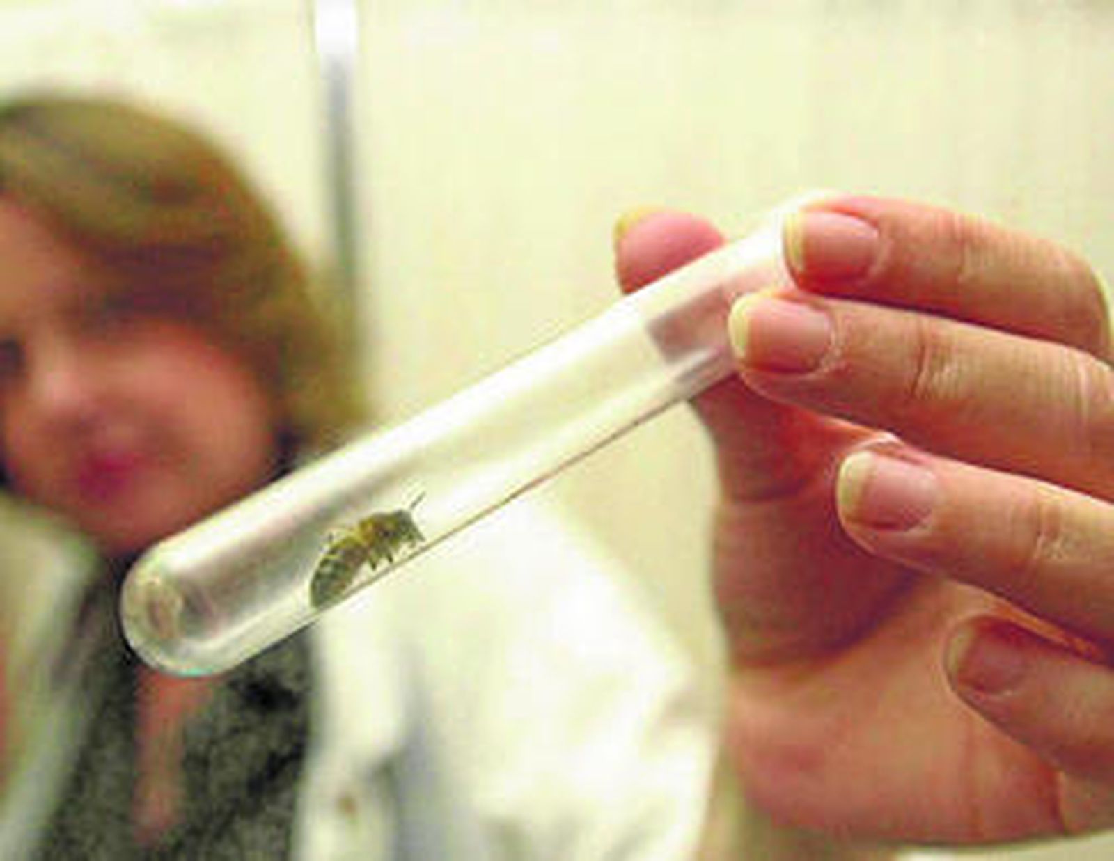 Sesiones de inmunoterapia en un hospital andaluz.