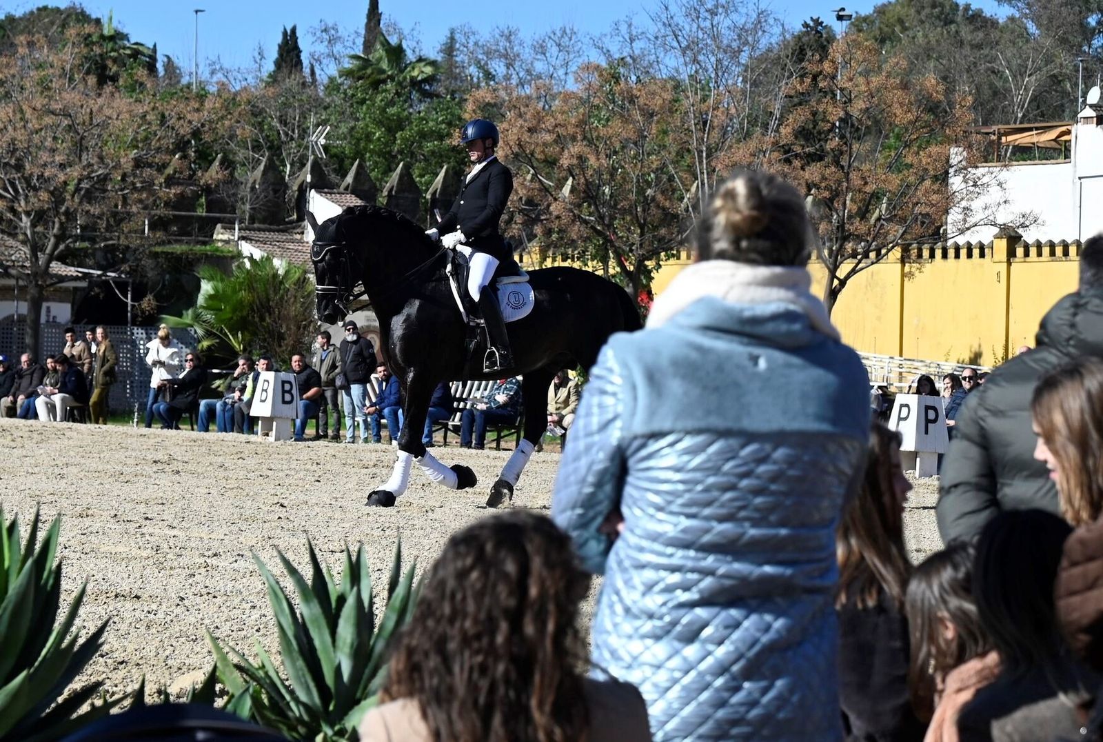 La Presentación de Sementales PRE 2026 en Córdoba, en imágenes
