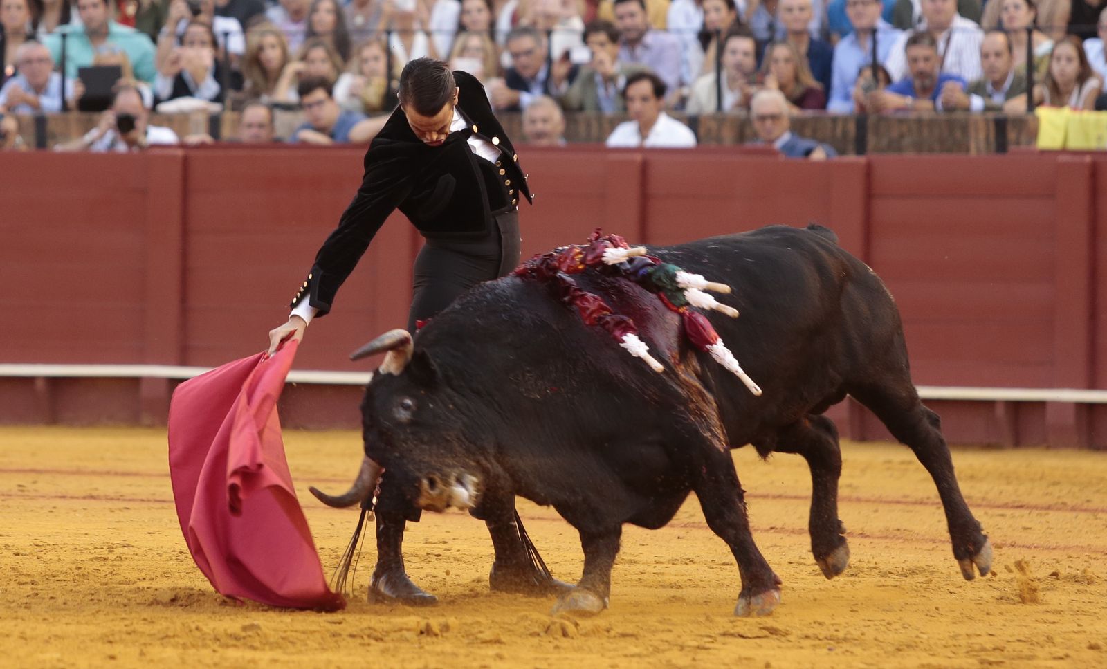 Imágenes del festival benéfico de toros en beneficio de la Hermandad de la Macarena