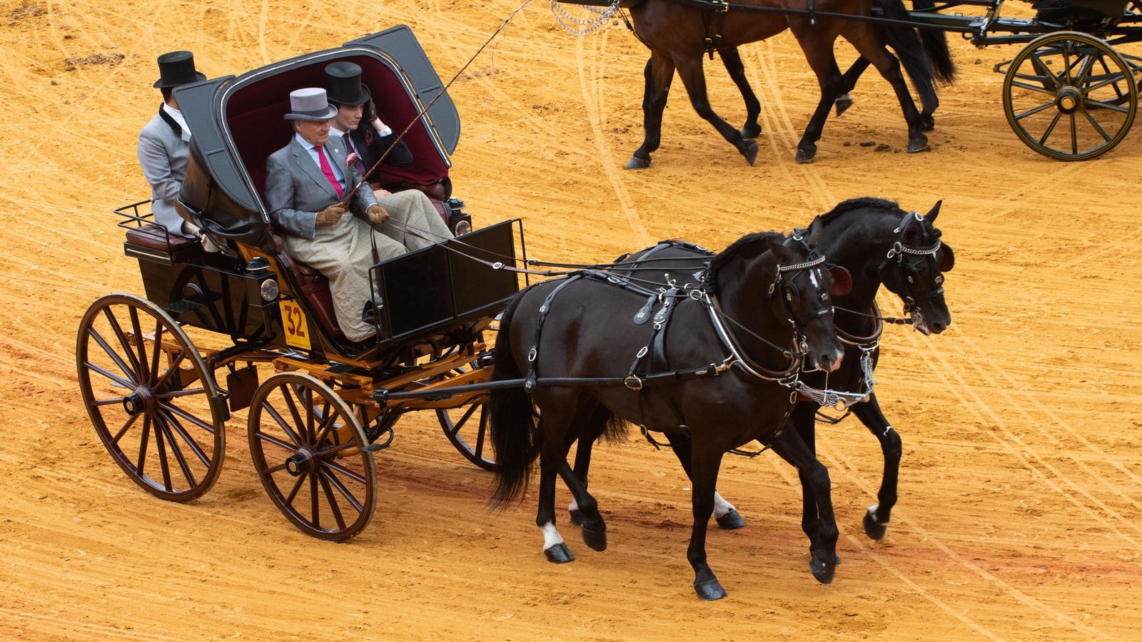 Primer Premio Tronco Inglesa.