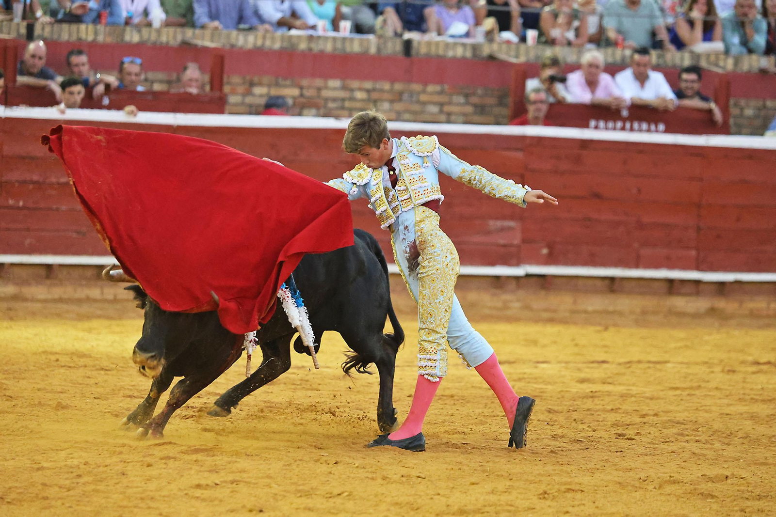 Toros La Merced 2024 Novillada con picadores(