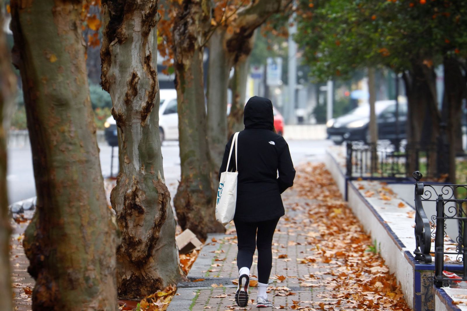 El paso de la borrasca Goretti por Córdoba