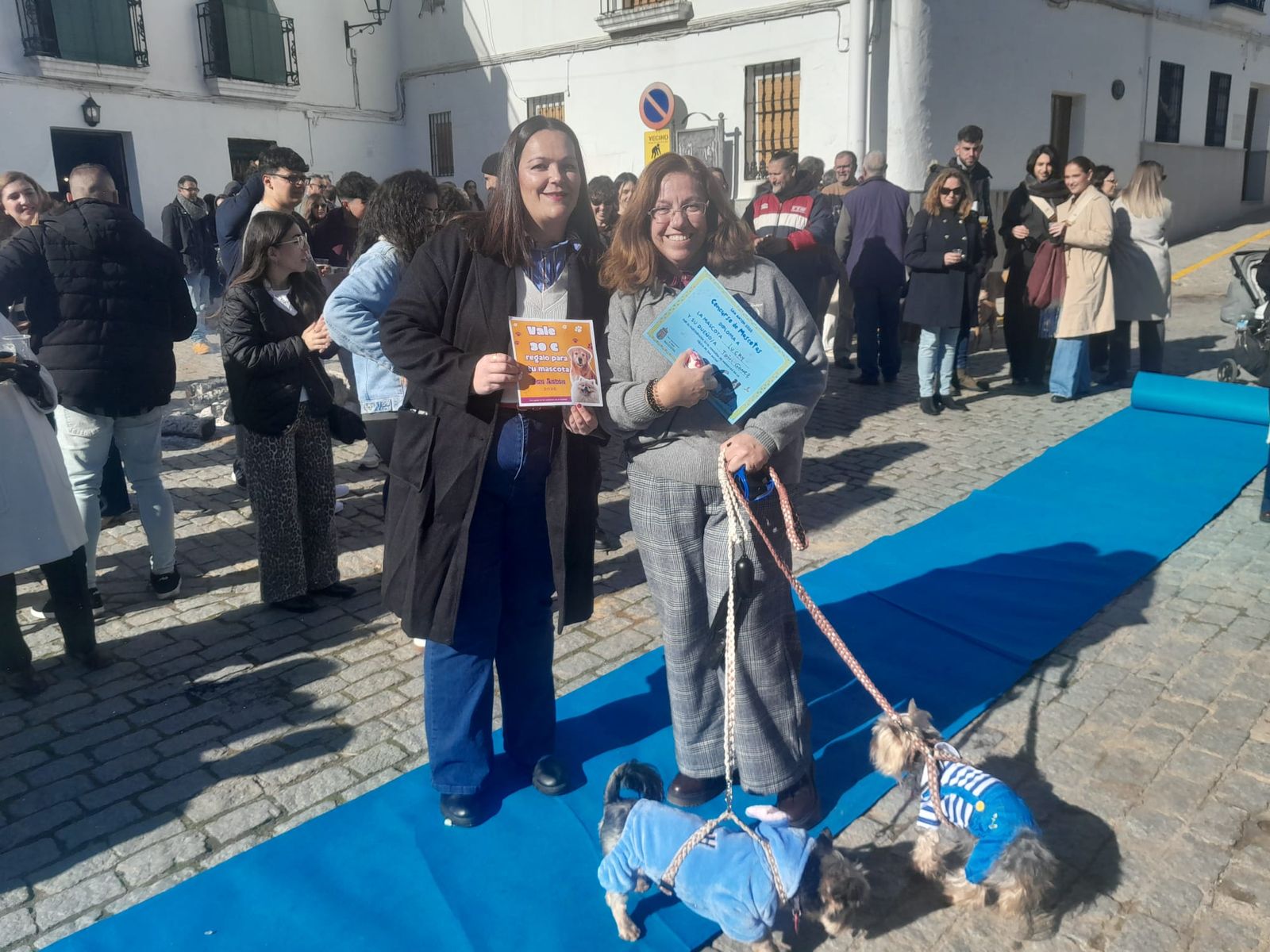 Celebración de San Antonio Abad en Obejo