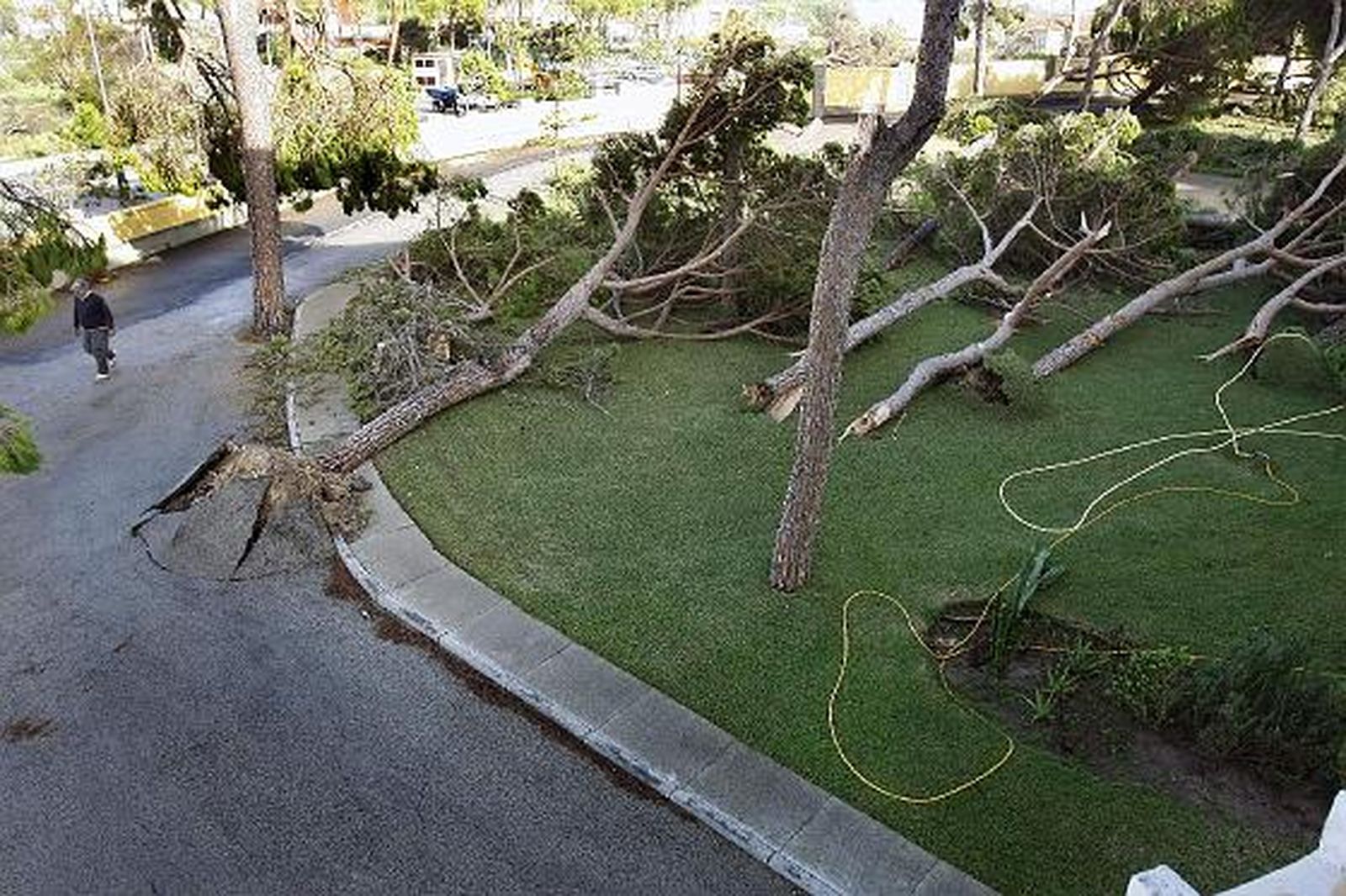 La lluvia y el viento causan múltiples destrozos en varias localidades de la provincia. 

Foto: Fito Carreto