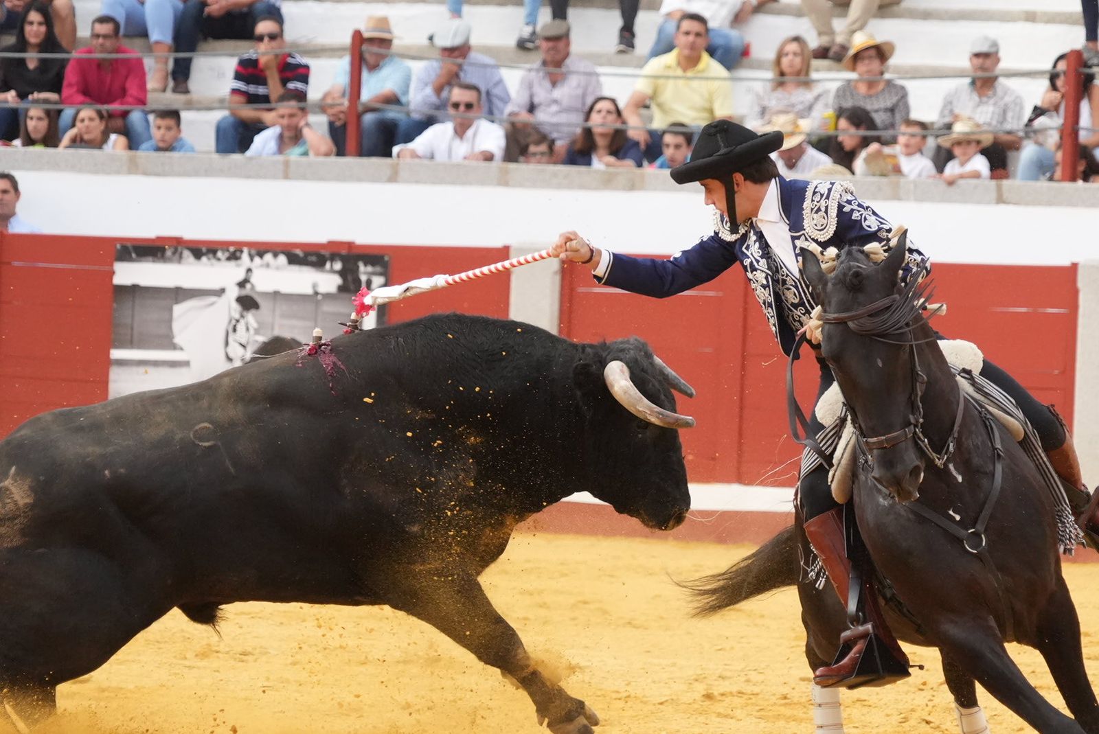 El triunfo del rejoneador Guillermo Hermoso de Mendoza en Pozoblanco, en imágenes