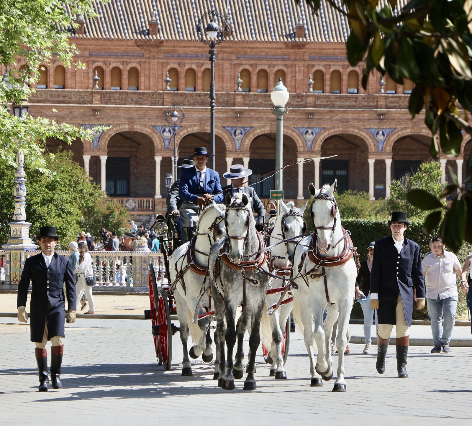 X copa CIAT   Concurso de Enganches