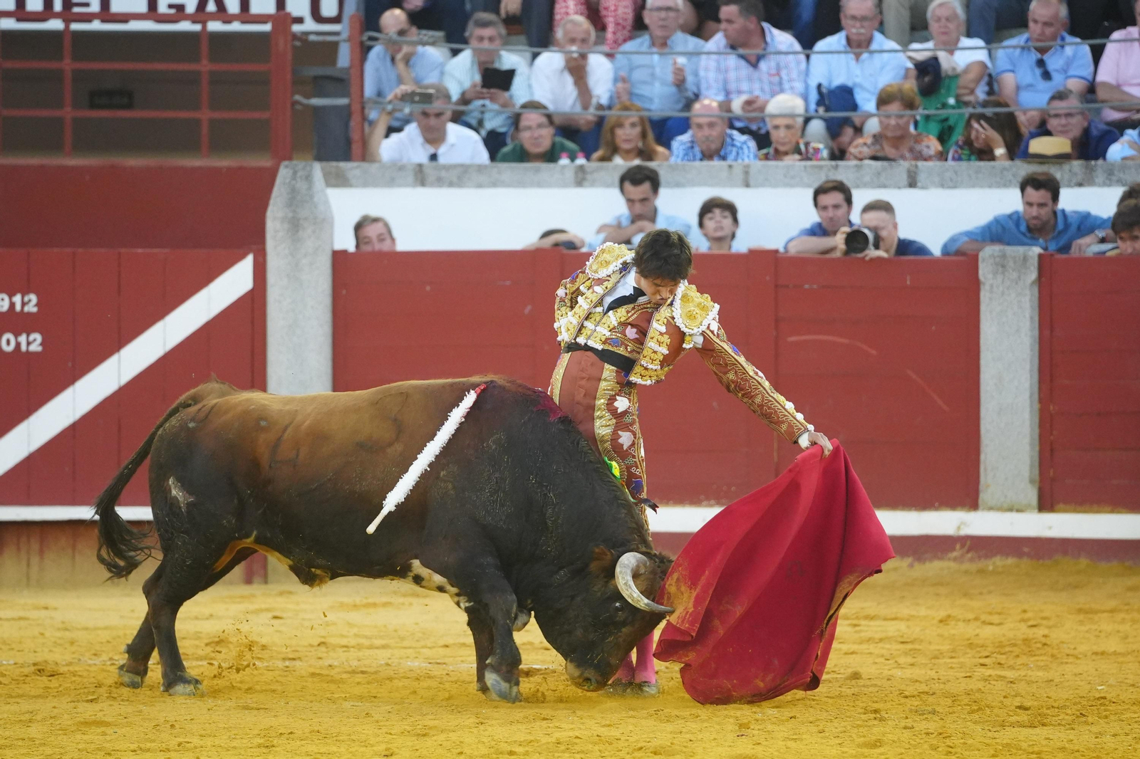 El triunfo de Rocío Romero, Manzanares y Roca Rey en la plaza de toros Pozoblanco, en imágenes