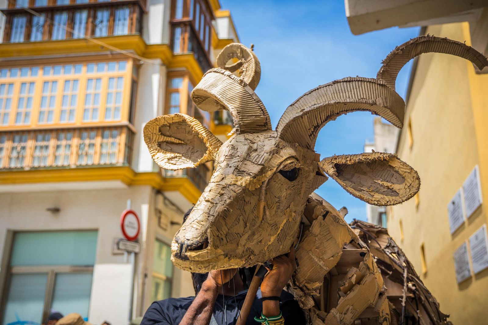 Las imágenes de 'La estampida' en San Fernando