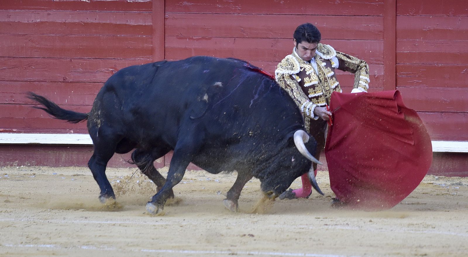 Las imágenes de la corrida en Morón con la reaparición de Jesulín de Ubrique