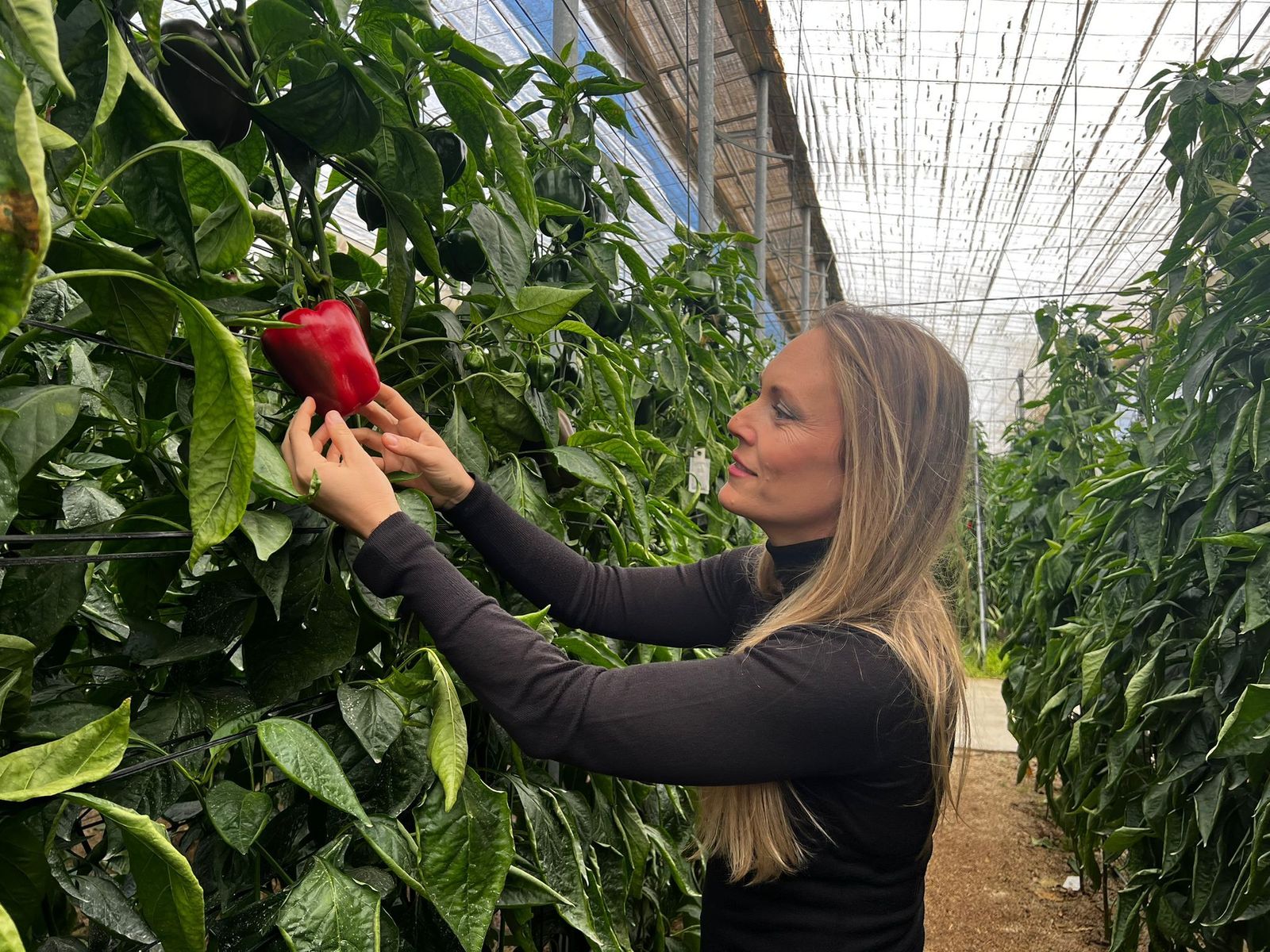 Adelina Salinas, directora comercial de ZOI, sonriente ante uno de los pimientos en sus invernaderos.