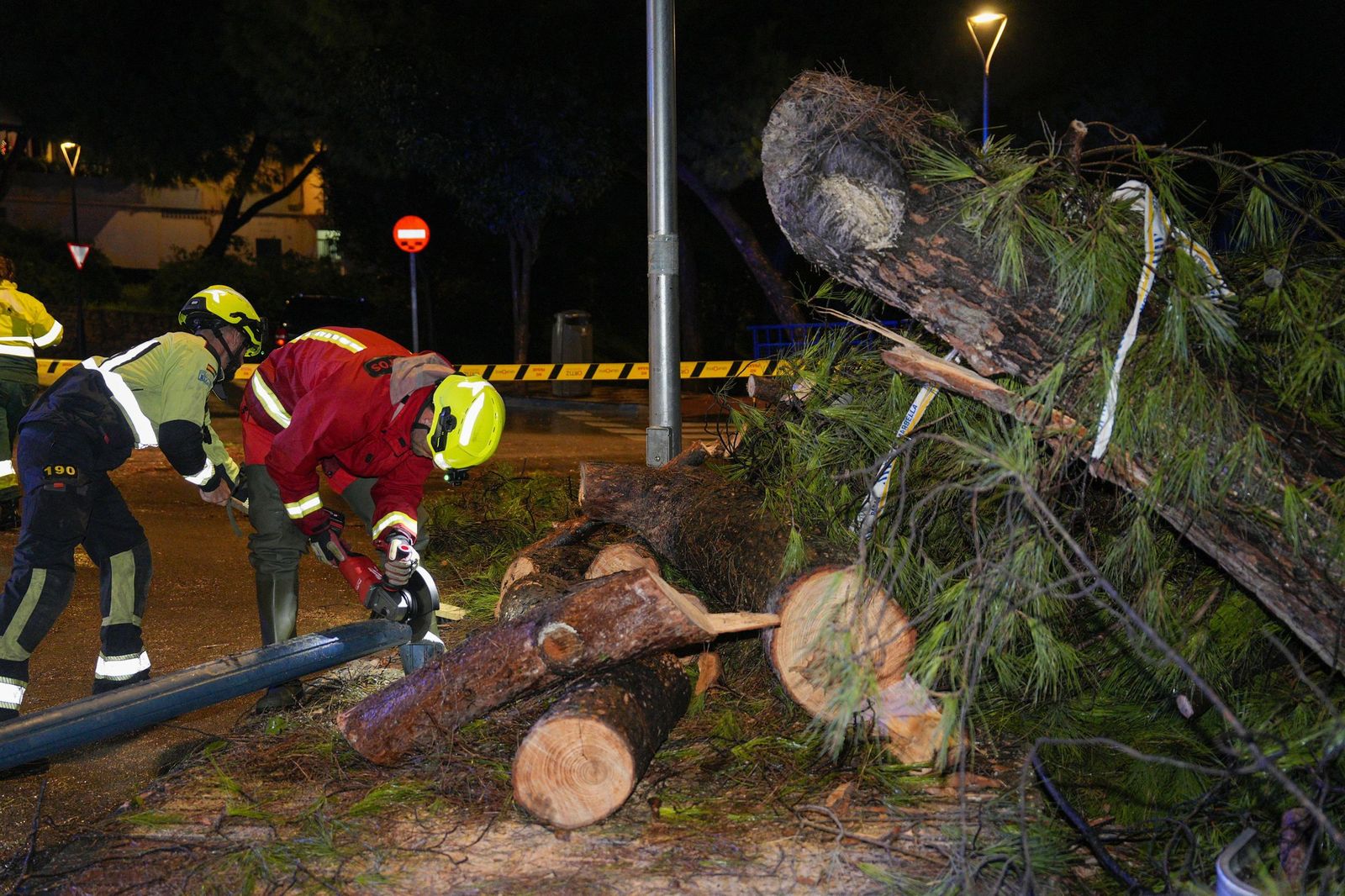 Bomberos cortan un árbol caído en Marbella.