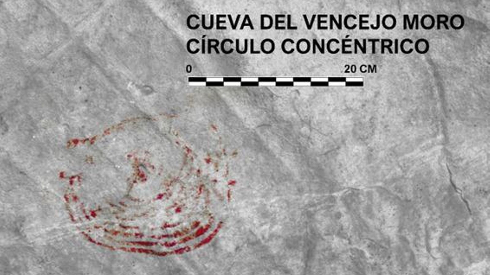 Detalle de uno de los círculos concéntricos del interior del grabado del équido.