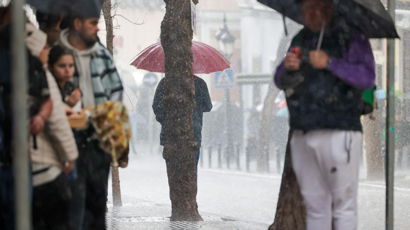 Las mejores imágenes del primer domingo de Carnaval de Cádiz