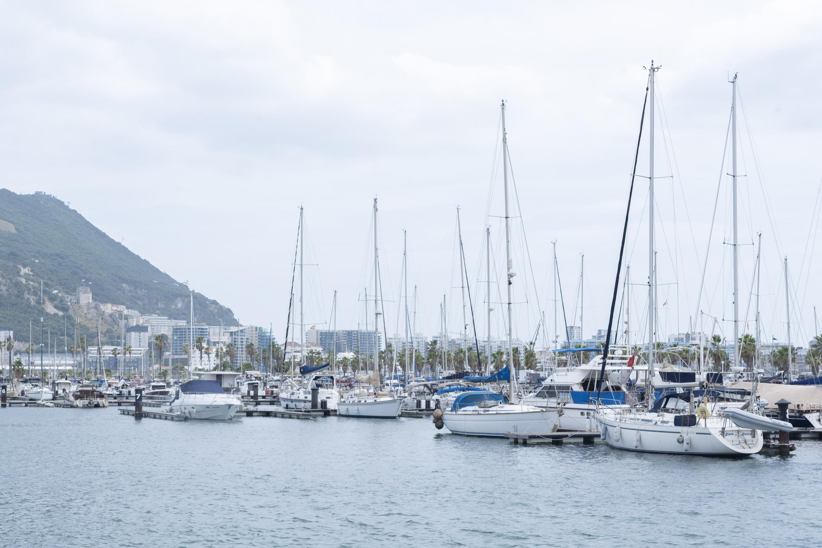 Fotos del puerto deportivo de Marina Alcaidesa en La Línea