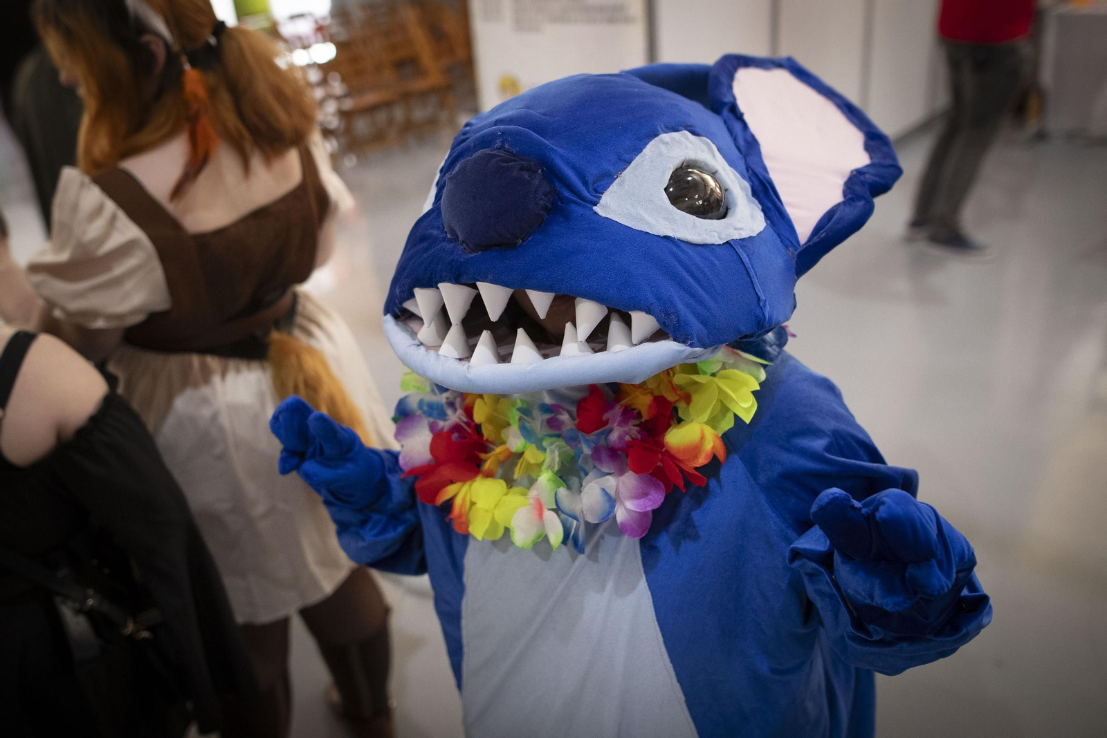 Las mejores imágenes de la celebración de Ficzone en Granada.