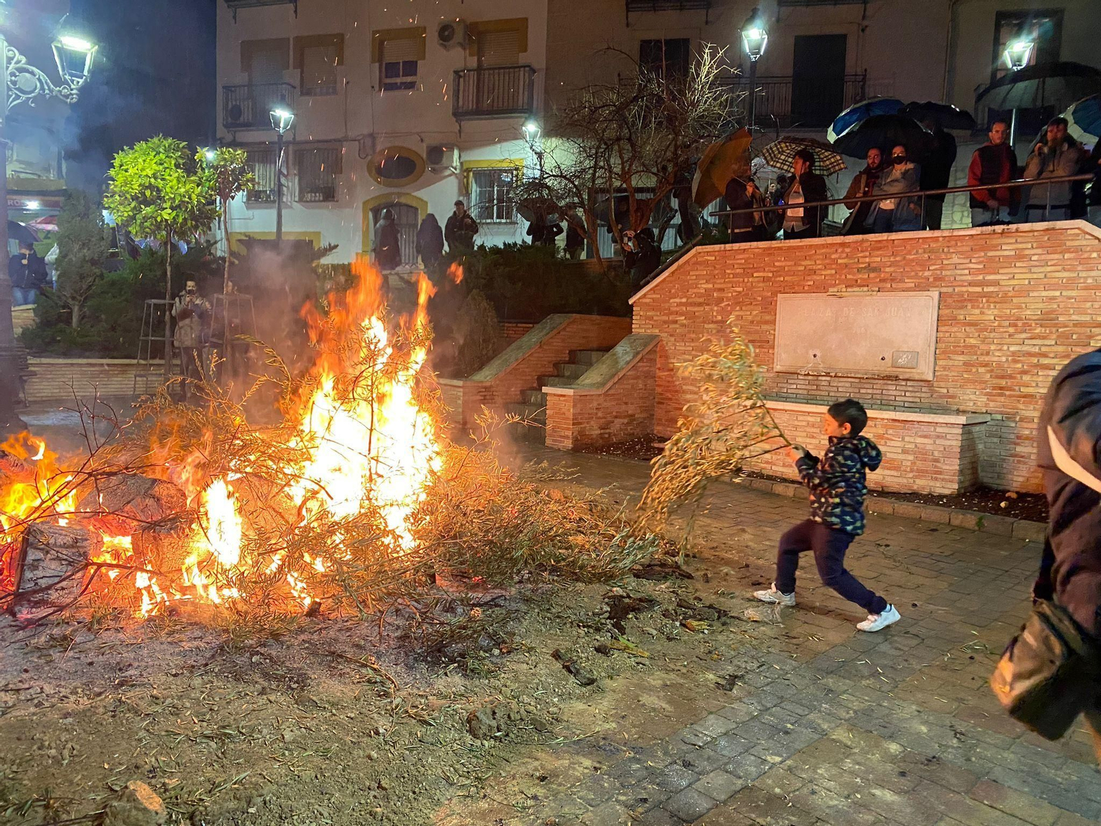 Lumbre de San Antón y bendición de los animales.