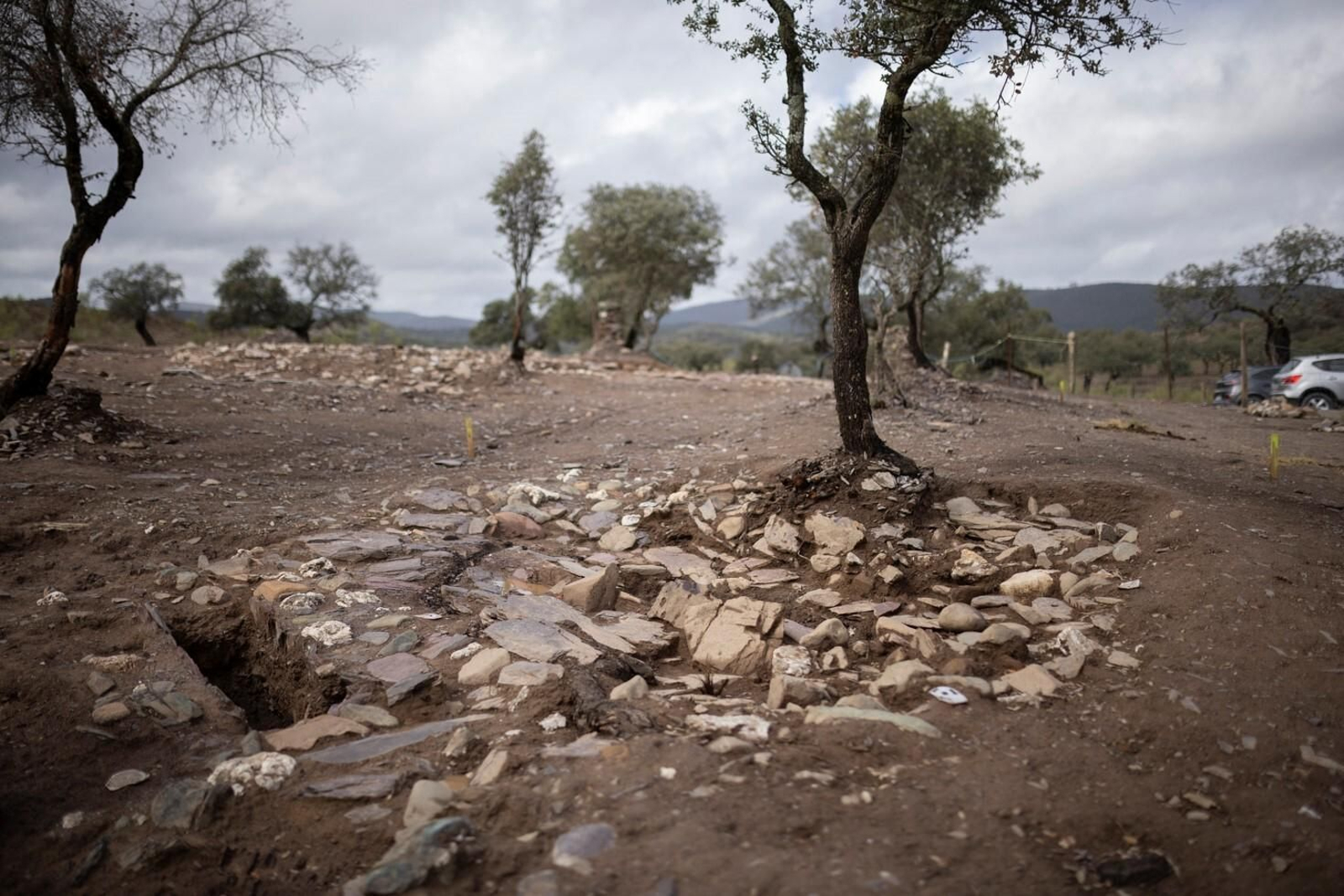 Imágenes del yacimiento del yacimiento de las Capellanías en Cañaveral de León