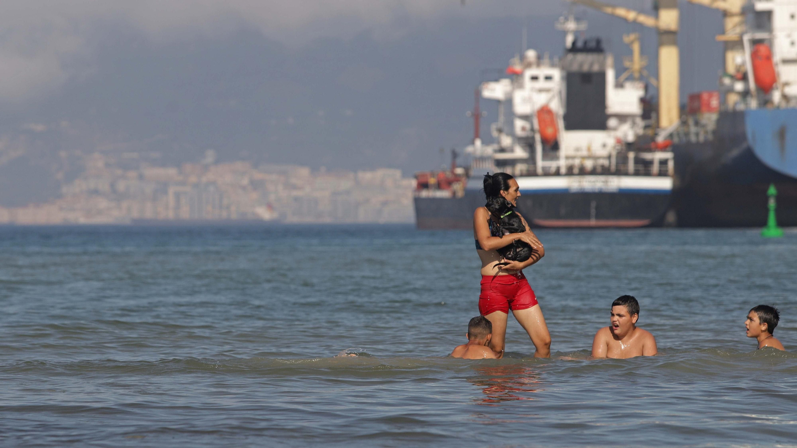 Fotos de la  la nueva zona de merendero y la playa canina en La Concha