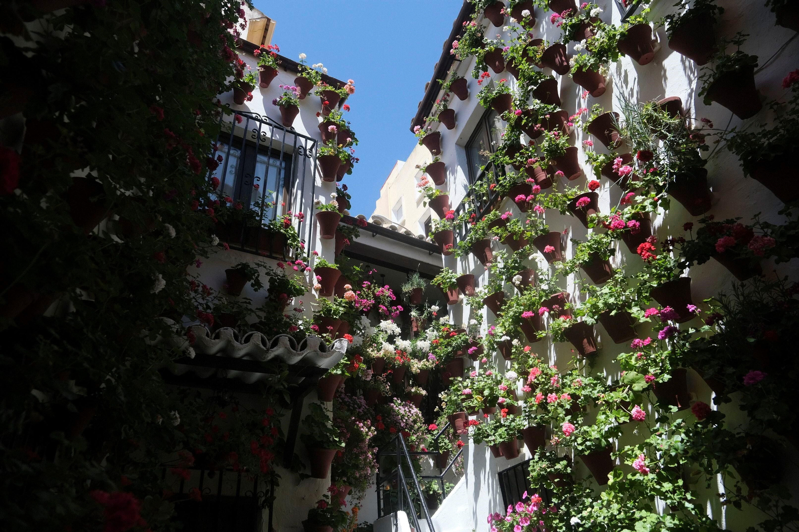 Los Patios de Córdoba se llenan de turistas en su primer fin de semana, en imágenes