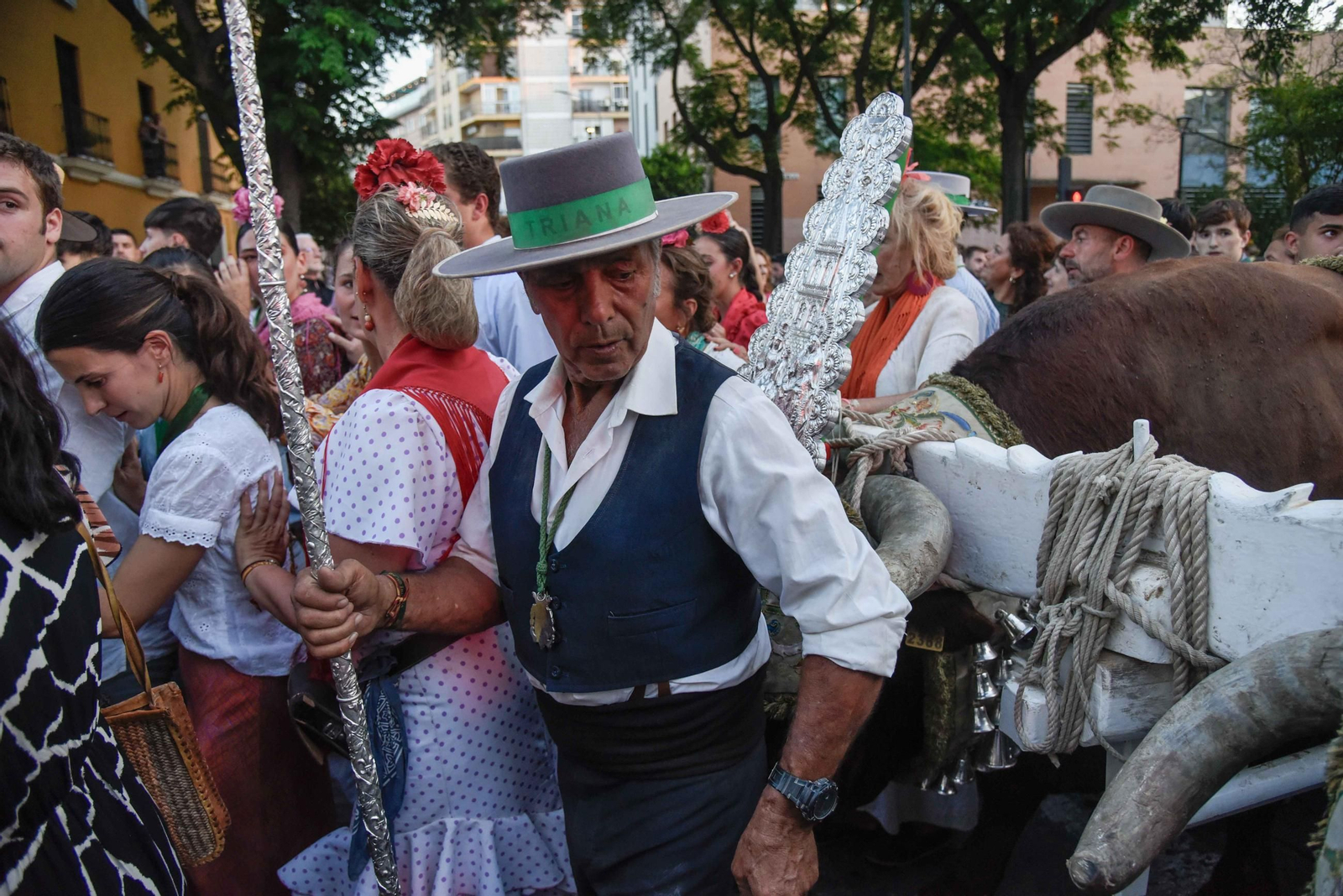 Llegada de la Hermandad del Rocío de Triana 2025 a Sevilla
