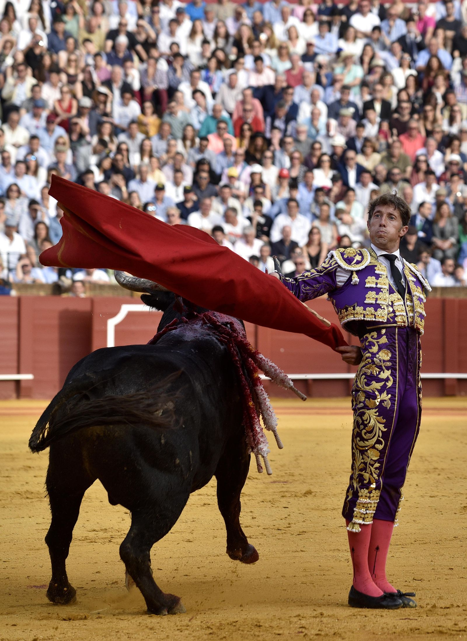 Las imágenes de la 14ª de abono de la Maestranza