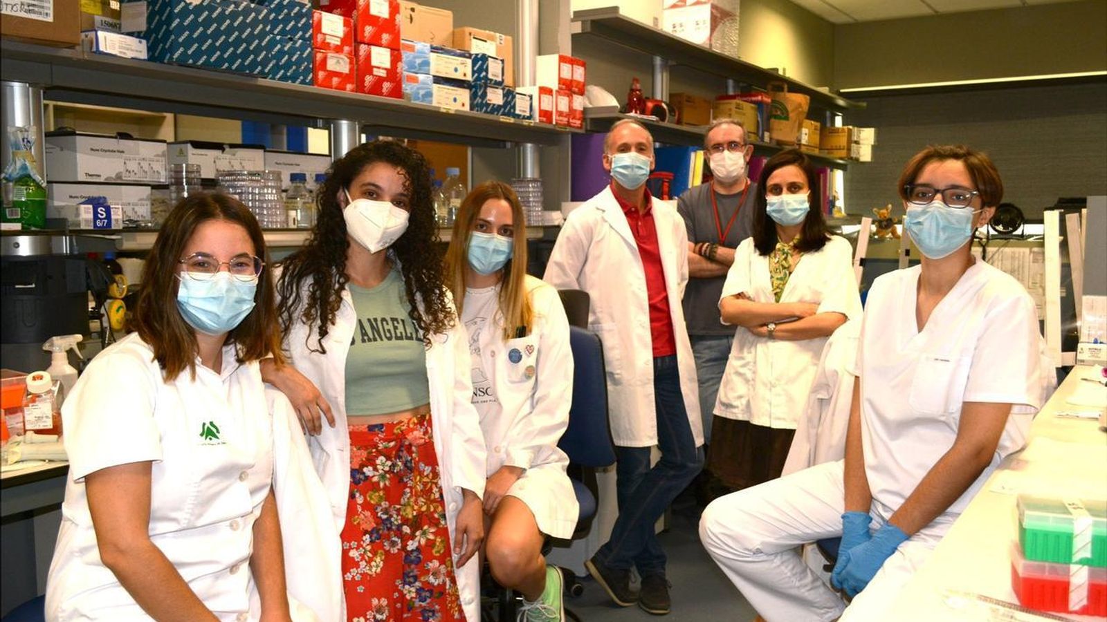 El grupo de investigadores del IBiS que dirige el doctor Amancio Carnero.