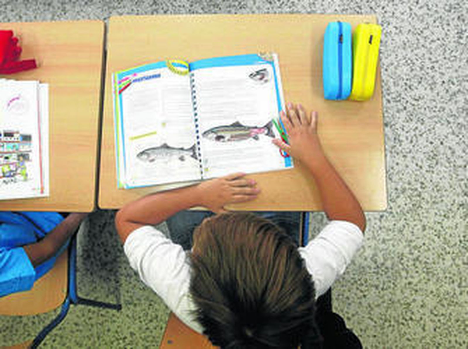 Un alumno de Primaria atiende en clase.