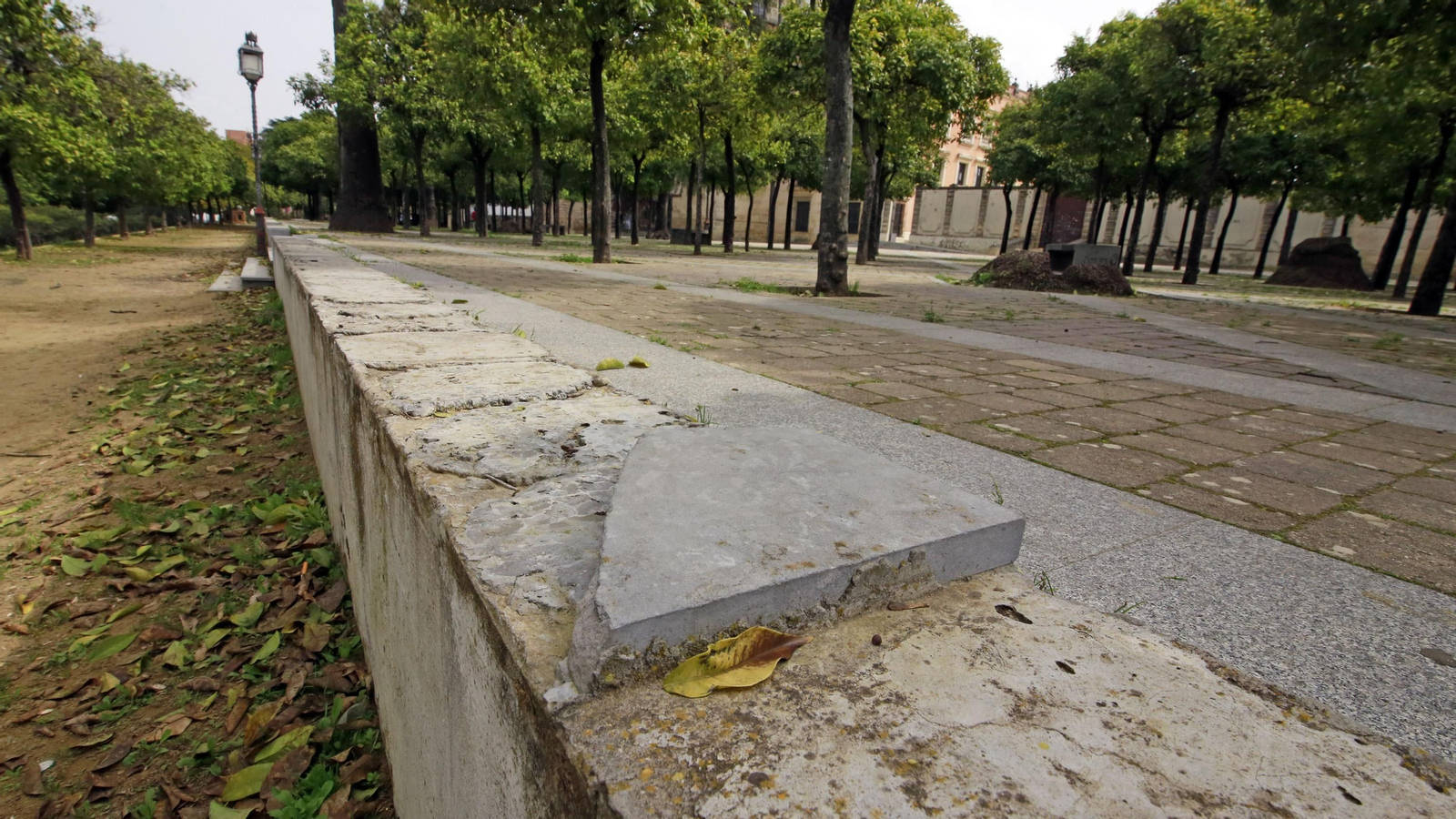 Abandono en la Alameda Vieja