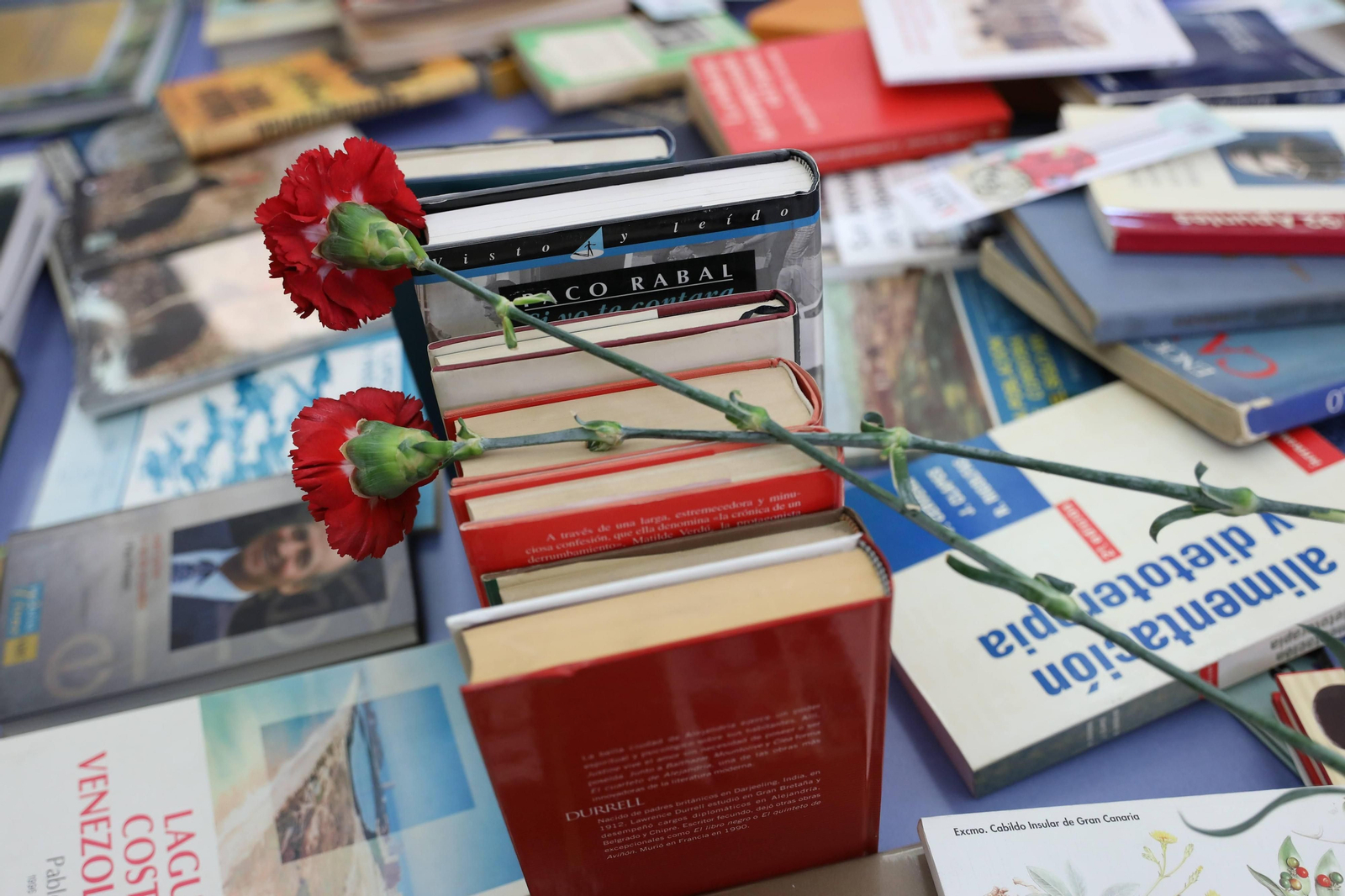 La Universidad de Córdoba celebra el Día del Libro, en imágenes