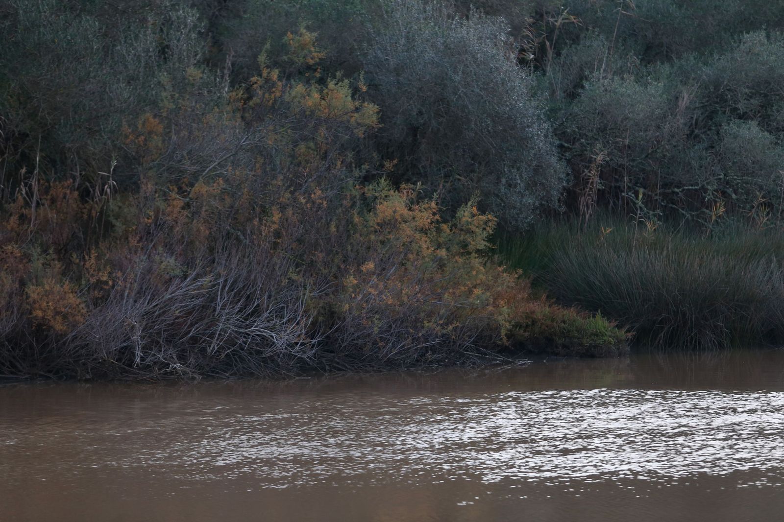 Las fotografías de Guadarcote, el río Guadarranque y la Estación de San Roque tras el paso de la borrasca Francis